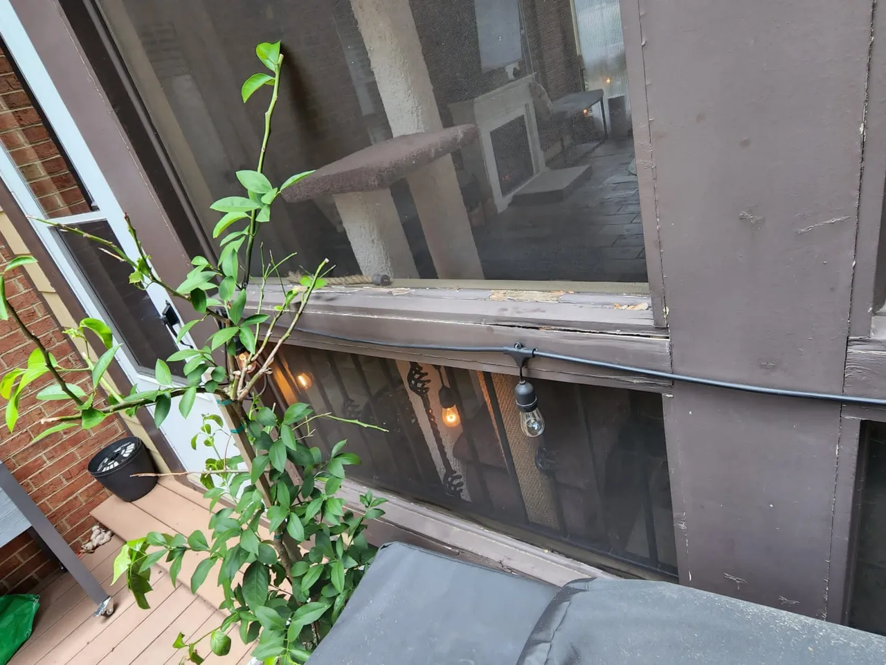 Wilson Construction Services project photo 65
